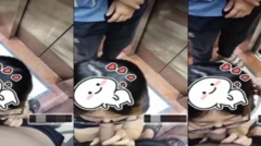  Đang public bú cu trong thang máy thì bất ngờ có người lạ vào em vẫn hồn nhiên mặc kệ